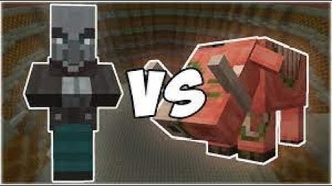 5 Vindicator VS 5 Zoglin (Who will win)