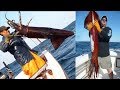 Amazing Giant Squid Catching in The Sea, Fastest Big Squid Packing Processing Factory