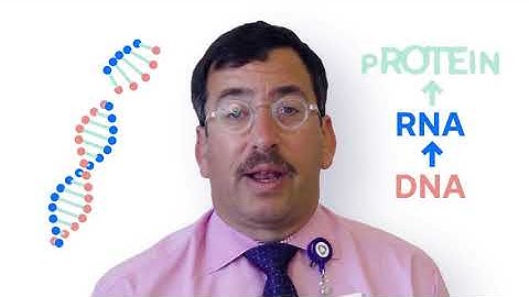 What is tumor mutation burden?