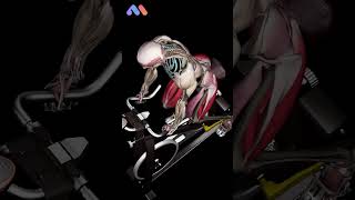 🚴‍♂️ The 4 Phases of the Pedal Stroke - Explained in Motion!