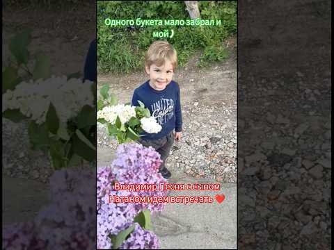 Владимир Песня / я все верну #shortvideo #shorts #short