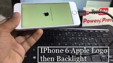 IPhone 6 Apple logo then blank display | iPhone 6 Apple logo then backlight
