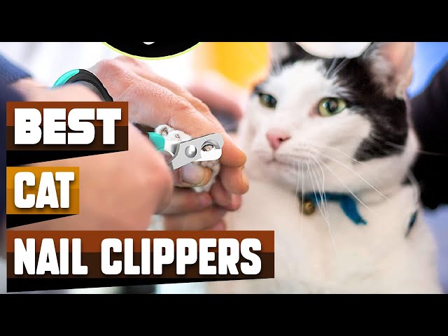 How to Trim Cat Nails: Our Stress-Free Guide | Purina