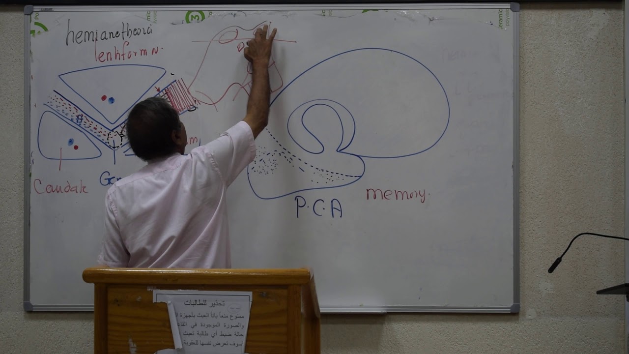 Anatomy - Vasculature of the CNS - P.Wagih - Part 4 camera iphone 8 plus apk