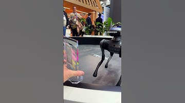 TECNO’s Robot Dog ‘Dynamic 1’ seemed pretty happy with its Yanko Design Best of #mwc2024 award!
