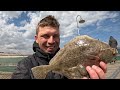 Erfolgreich angeln auf plattfisch von einer seebrcke ostsee angeln fishing outdoor plattfisch