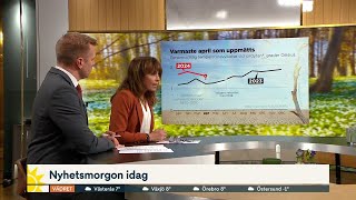 Rekordvarmt – för elfte månaden i rad | Nyhetsmorgon | TV4 &amp; TV4 Play