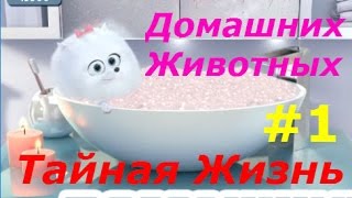 Тайная Жизнь домашних животных - #1 Развлекаем Макса и компанию:) Игровой мультик для детей Тайная Жизнь домашних животных - #1 Развлекаем Макса и компанию:) Игровой мультик для детей