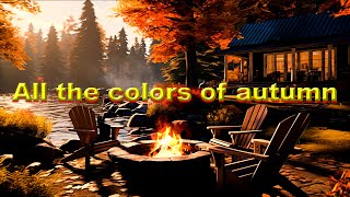 All the colors of autumn. Relax |4K| Outdoor Travel