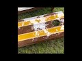 Tabletop epoxy cornhole boards