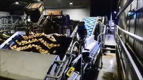 Haith Potato Washing, Defect Sorting and Box Filling System