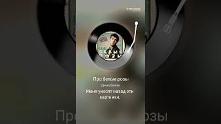 Дима Билан.Про белые розы