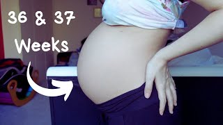 36/37 Week Bumpdate