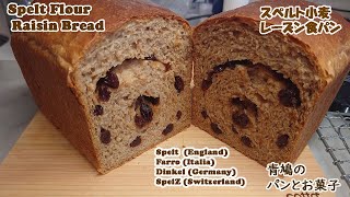 Spelt Flour Raisin Bread (スペルト小麦レーズン食パン)