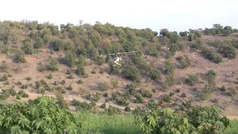 Trex600 - First Loops