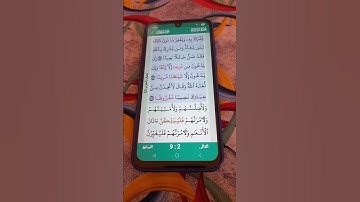 سورة النساء الآية 116-118 سعد الغامدي