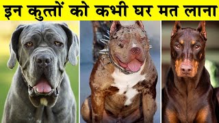 इन कुत्तों को कभी घर मत लाना| MOST DANGEROUS DOG BREEDS IN THE WORLD| SABSE KHATARNAK KUTTA