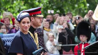 Whats Hippo Meghan And Harry 2020 Trailer Anne Thomas