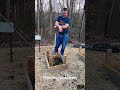First-time potato harvest in wooden boxes! #redirishpotato #woodenbox