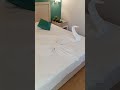 Как выглядит уборка номера bieno club sunset, side Турция