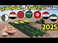 التصنيف الجديد لأكبر 10 دول عربية منتجة للقمح لعام 2025 تغيرات صادمة في الانتاج الاقليمي والعالمي 