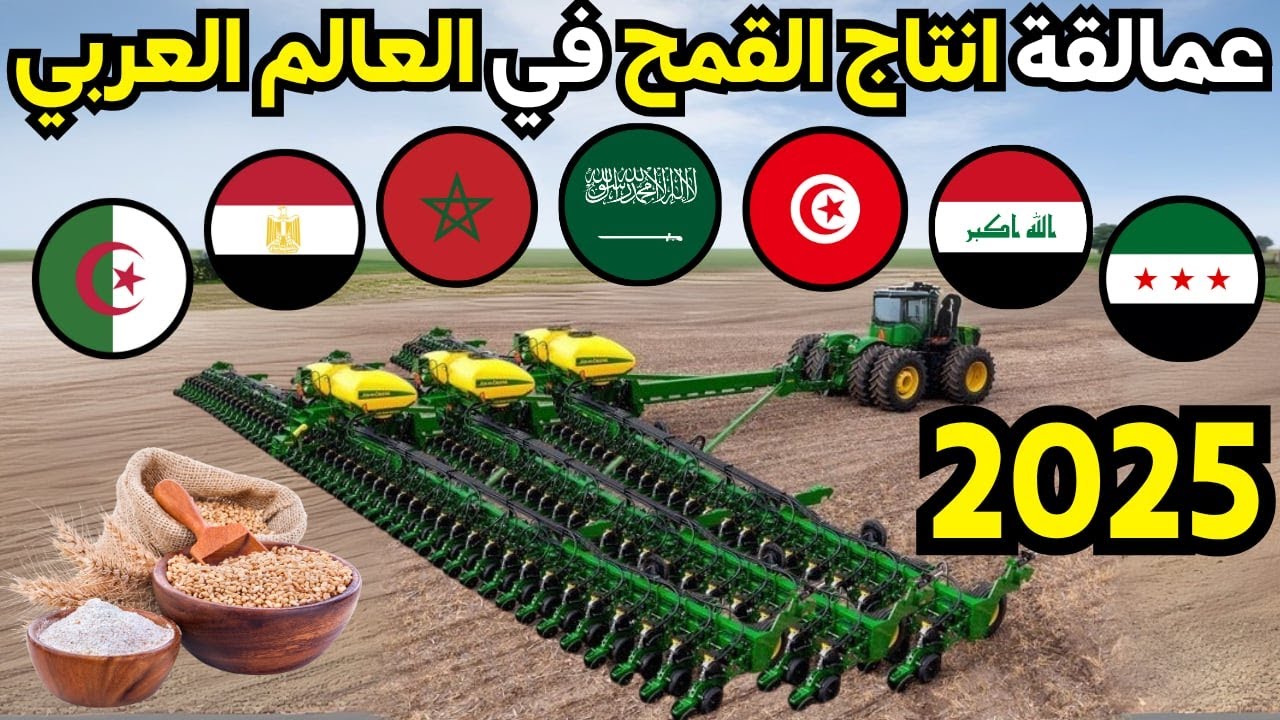 Новый рейтинг 10 крупнейших арабских стран-производителей пшеницы за 2025 год — шокирующие измене...