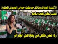 الأغنية الجزائرية التى حركت حماس الجيوش العالمية تغنت بكل لغات العالم ردا على كل من يتجاهل الجزائر