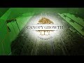 Cannabis  visite de lusine de canopy growth