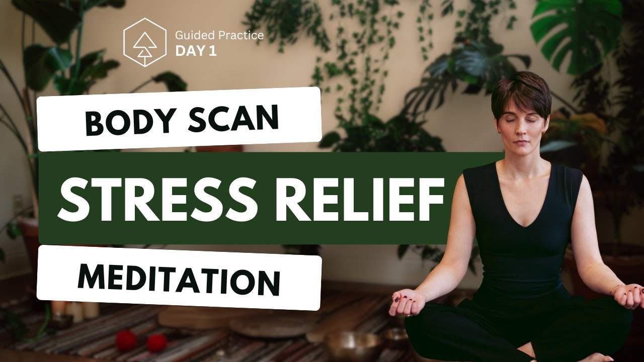 Guided Body Scan Meditation for Stress Relief | Day 1 of 7-Day Holiday ...