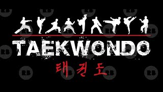 11 Đòn đá trong Taekwando | Taekwondo Training Motivation