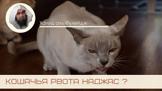 Кошачья рвота наджас? | Халид аль Фулейдж