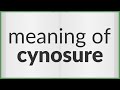 Cynosure | meaning of Cynosure