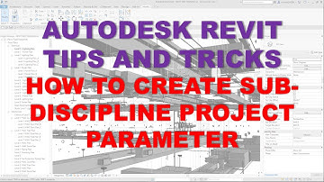 TIPS AND TRICKS: HOW TO CREATE SUB-DISCIPLINE PROJECT PARAMETER