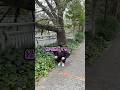 なにしてる？ #雑学 #プチ知識 #豆知識 #健康 #運動
