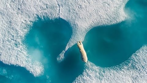 20 best photos of 2017 taken from drones