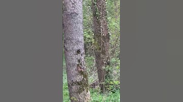 $#How I Find High Traffic, Low #Competition Keywords¥£ for YouTube (#2024)