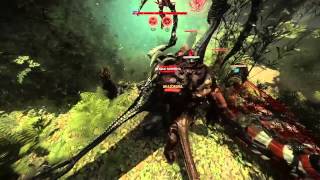 Evolve fastest win ever 1:20