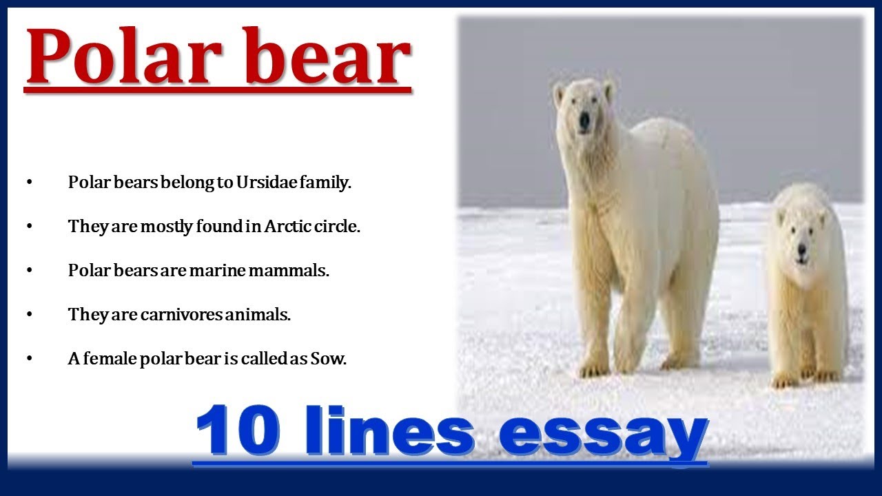 bear essay in english 10 lines