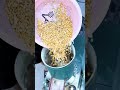 Motivation  Trending Viral  reels