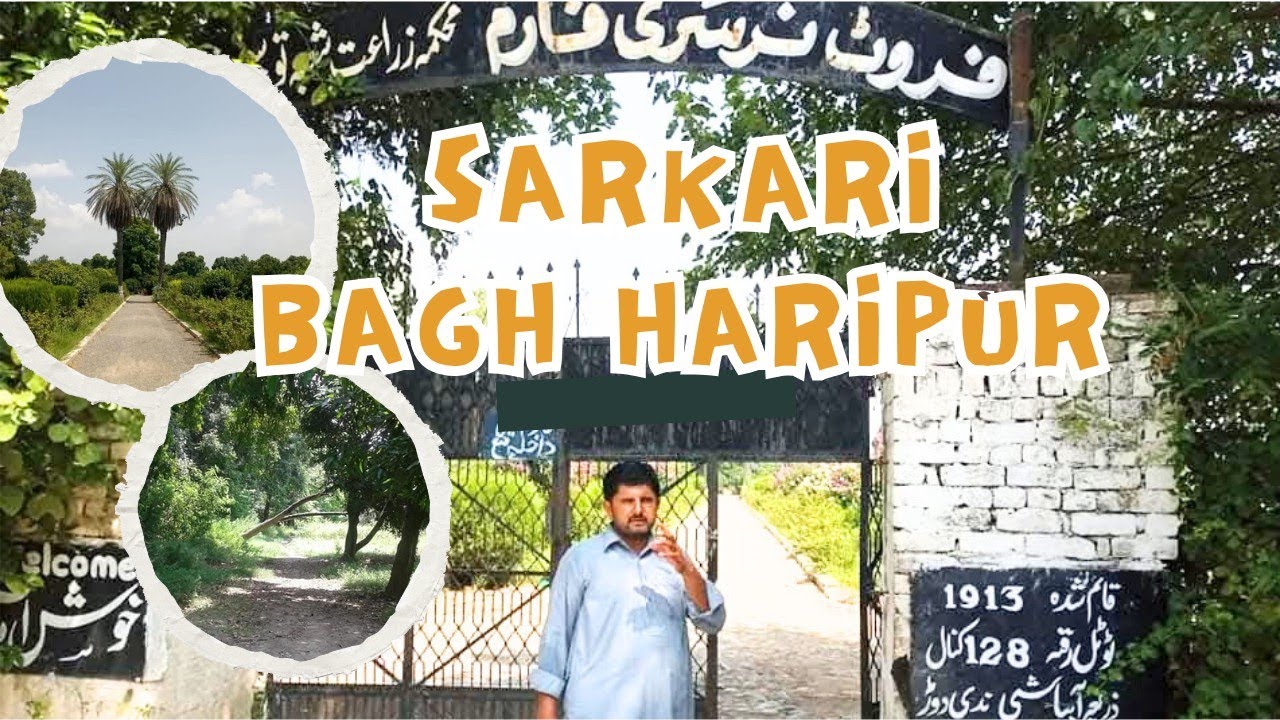 Sarkari Bagh Haripur 