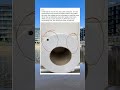 Always Check the Toilet Paper Roll in Public Restrooms — Here’s Why 🚽