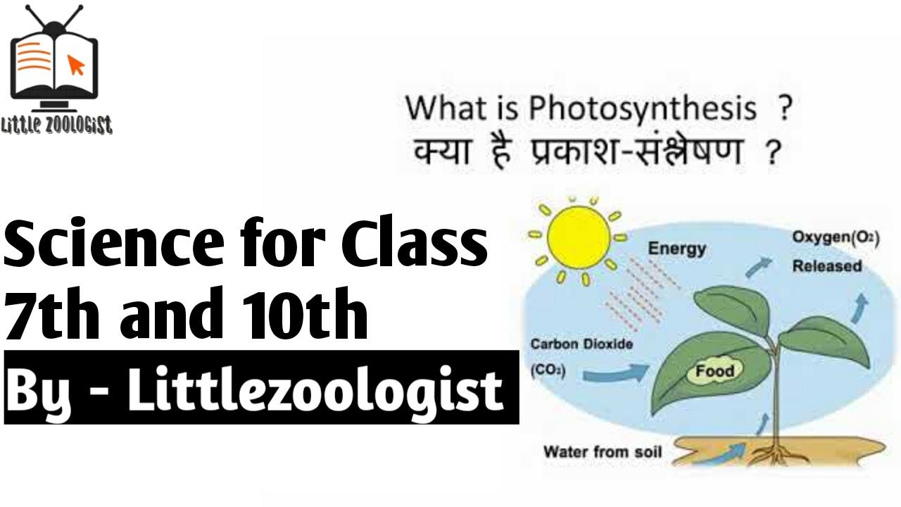 what is the hindi meaning of word photosynthesis