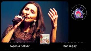 Ayşenur Kolivar - Kar Yağayi Resimi