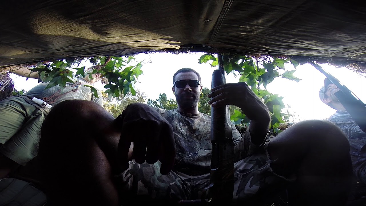 Goose Hunting in Alabama September 1, 2018 YouTube