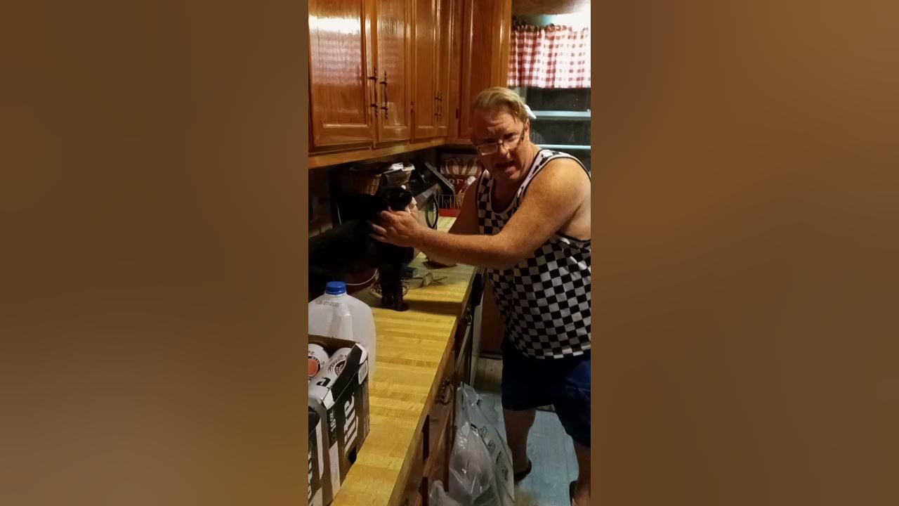 How do you get tree sap out of dog or cat hair? YouTube