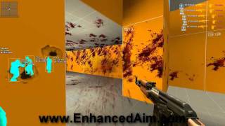 Famous Counter Strike Source Enhanced Aim Net Worth