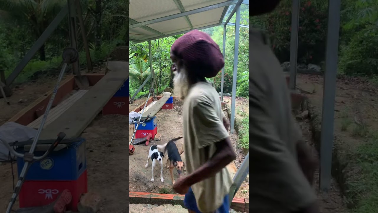 Дивали 2025 в Кауре