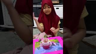 Eksperimen batang seledri, fungsi batang pada tumbuhan