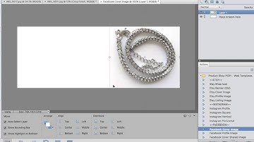 Using the Templates - PSE