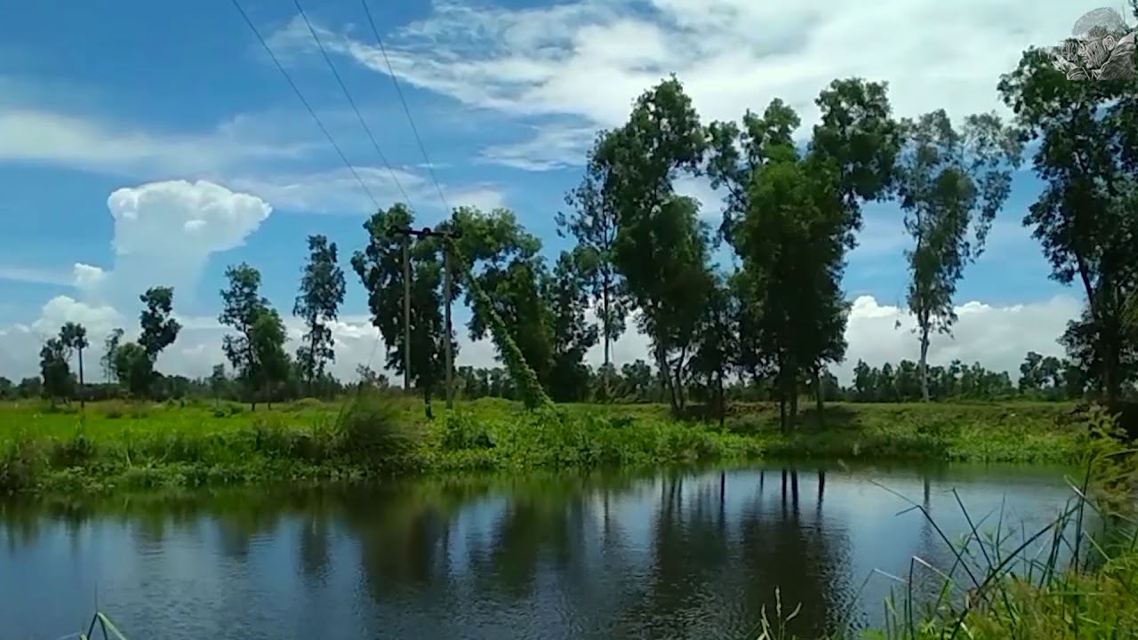The Beauty Of The Nature (Time Lapse Video) YouTube